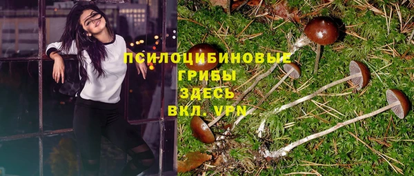 не бодяженный Алзамай