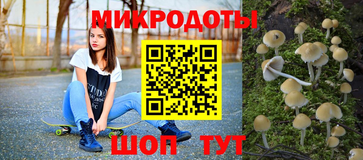 Псилоцибиновые грибы мухоморы Тверь