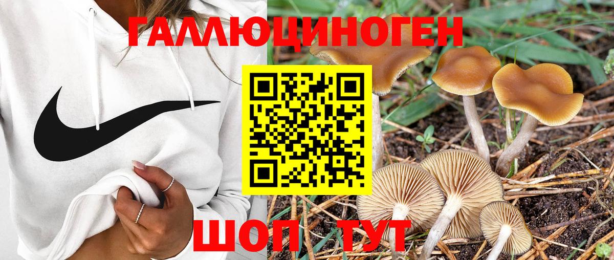 Псилоцибиновые грибы MAGIC MUSHROOMS  Псилоцибиновые грибы мухоморы  Тверь  Вход с VPN 